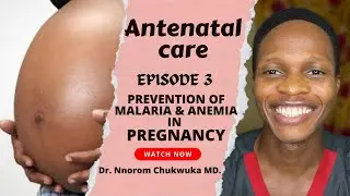 Antenatal care | Prevention of malaria and anemia in pregnancy | What to expect Ep. 3