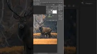 Autumn Color Effect  Photoshop tutorial#  #shorts #short   تأثير لون الخريف في فوتوشوب#trending