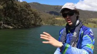 Tip for Finding Feeding Golden Perch