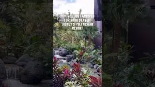 Disney Polynesian Resort is our favorite Disney resort #disney #disneyworld #disneyresort #wdw