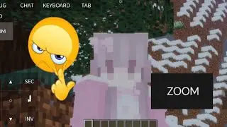 COMO PONER EL BOTON DE ZOOM EN EL MOJO LAUNCHER 👍🔥