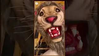Joy maa jagadhatri | jagadhatri status video| #facebook #jagadhatri puja