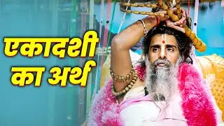 एकादशी का गूढ़ रहस्य क्या है? | सद्गुरु ऋतेश्वर जी महाराज | Sadguru Riteshwar Ji Maharaj