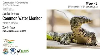 Expert Talk -- Common Water Monitor - December 29, 2021