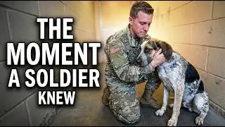 Here's What a Soldier Saw in this Dog  NO ONE Wanted 🥲