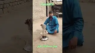 #حقہ #Huqa #entertainment #ثقافت_دے_رنگ_پنجاب_ٹی_وی_دے_سنگ