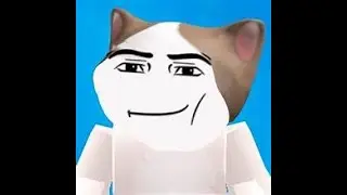 Flappy Meme Cats