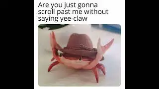 Yee-Claw
