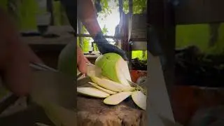 peel the coconut in the traditional way, satisfying, asmr, grooh project