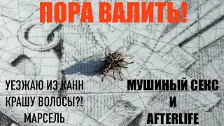 Беженец🇫🇷Канны. Пора валить! Уезжаю из Канн в Марсель! Еду на Afterlife🔥Крашу волосы?!😁Мушиный с@кс)