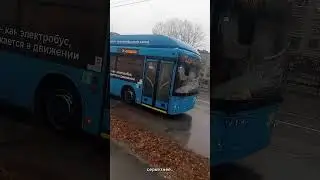 К &laquo;автобусам-камикадзе&raquo; от МАЗа, похоже, могут добавиться и троллейбусы.