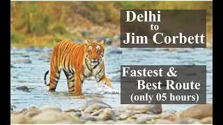 Delhi to Jim Corbett (Ram Nagar) || The Fastest Route || With Full Details