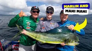 How To Catch Inshore Mahi Mahi and Marlin (Port Stephens)