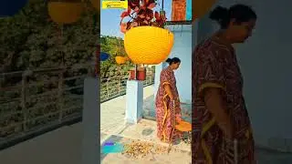 Solar Gazebo Model #viral #rooftop #solar model #yt studio