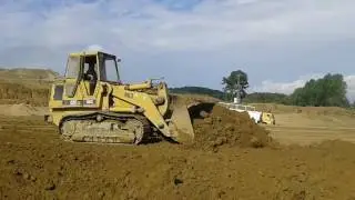 Çılgın 963 cat