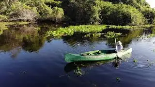 Pantanal Adventure  - Araras Eco Lodge 2019