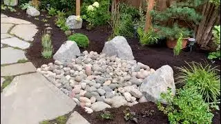 Home page video