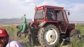 New Holland TD65  vs  T&uuml;mosan 82-80