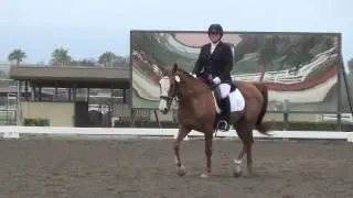 Ashley Shrader   Sir Fredrick   399   T 3