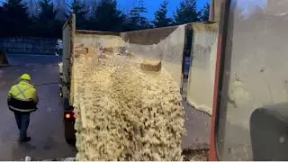 Watch Garbage trucks dumping Thick Sloppy loads! 🤢