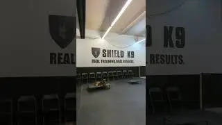 NEW Toronto Location! Shield K9 Dog Training