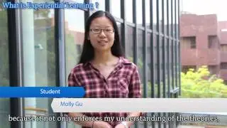 What is Experiential Learning? - HKU Teachers&rsquo; and Students&rsquo; perspectives