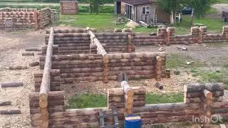Срубы из сосны от Кашинской Артели 89065492232