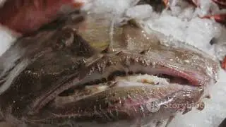 5 Shocking Animal Facts That Prove Nature is Scarier Than Fiction! 😱 | Weird Animals