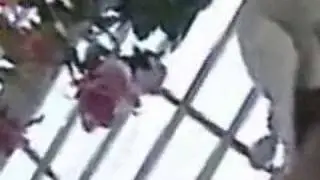 Brookers' Videos Revealed!