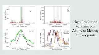 Binding-site resolution chromatin accessibility dynamics of... - Trevor Long - RSG - RSGDREAM 2022