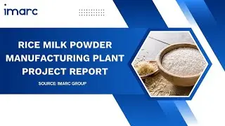 How to Setup a Rice Milk Powder Manufacturing Plant: Detailed Report 2025