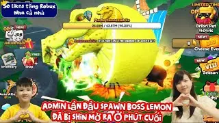 Admin Lần Đầu Spawn Boss Lemon Đ&atilde; Bị Shin Mở Ra Rồi | Roblox - Game