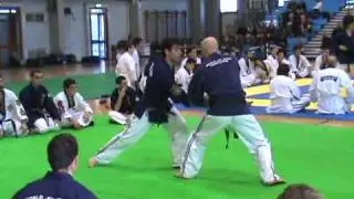 Ju-Jitsu - M&deg; Luca Romoli 2nd Dan - Wjjf Pma Italia