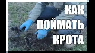 Профессиональная защита участка от кротов