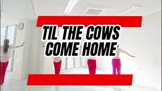 Til The Cows Come Home linedance/ Improver/ 초중급/ 리쌤라인댄스/세종시라인댄스 