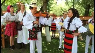 Victoria Mihai - Ceterucă lemn de fag