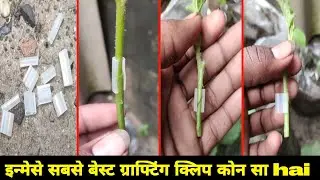 4 best silicone tube , grafting clip 2.5mm