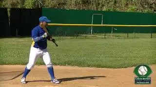 Derek Colon- Carlos Beltran Baseball Academy
