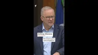 Albanese splits up gun law and hate speech bills after Greens criticism