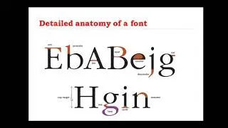 Detailed anatomy of a font