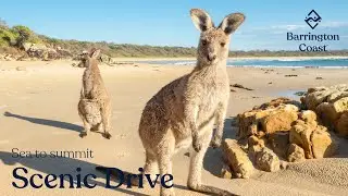 Sea To Summit Scenic Drive | Barrington Coast