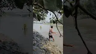 amazing big fish catching time in river canal #foryou #youtubeshorts #fishing #shorts #viral