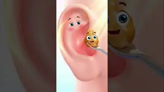 Don't Use Cotton Swabs For Ears! 😱 Watch What Happens Inside #shorts #animation  #funny