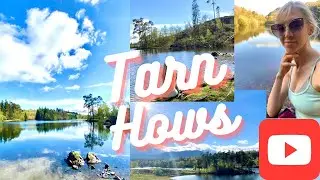 Walk With Me to Tarn Hows | Yew Tree Tarn [Lake District]