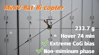 MiniV-Bat Preview: Bi-Copter Stability Under Disturbance &ndash; Extreme CoG Bias