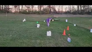 2025-11-12   Muffin AKC Virtual Obedience Beginner Novice