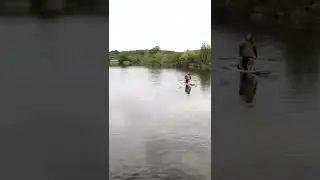 🐶🛶&hearts;️🌿 #hundeblog #doglover #hundeliebe #standuppaddle #nature #wildheart #naturelover