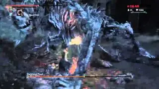 Dark Beast Paarl in under 45 seconds