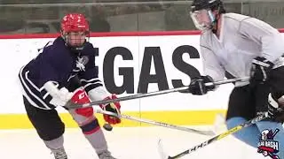 BLPA Bash - Greatest Beer League Hockey Tournaments in The World