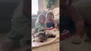 👉 &ldquo;Cat Spa Day 💁&zwj;♀️🐱 Hilarious Kids&rsquo; Salon Moment!&rdquo; #viral #viralvideo #cat #shortsvideo